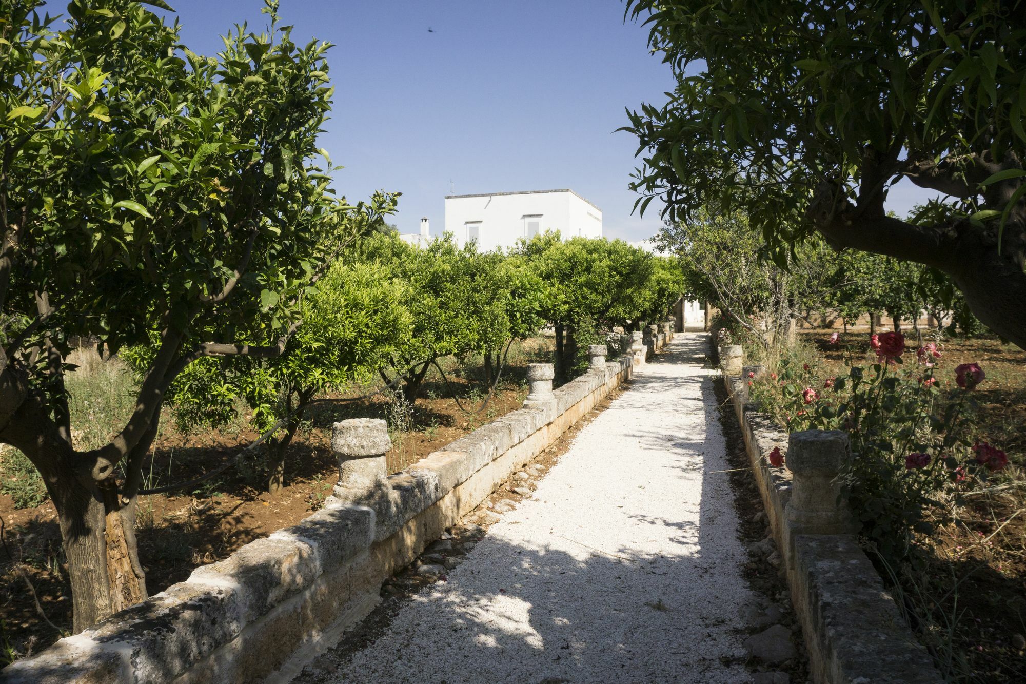 Masseria Capece Pezze Di Greco Exterior photo